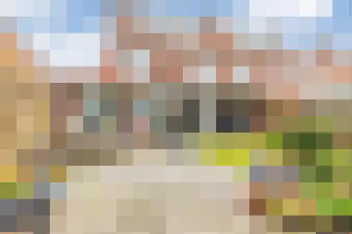 Dreef 12 Beverwijk thumbnail 58