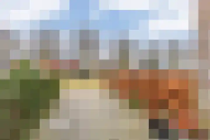 Dreef 12 Beverwijk thumbnail 6