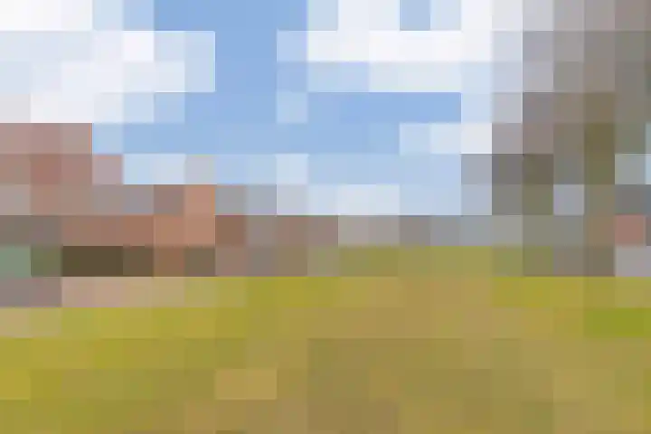 Dreef 12 Beverwijk thumbnail 61