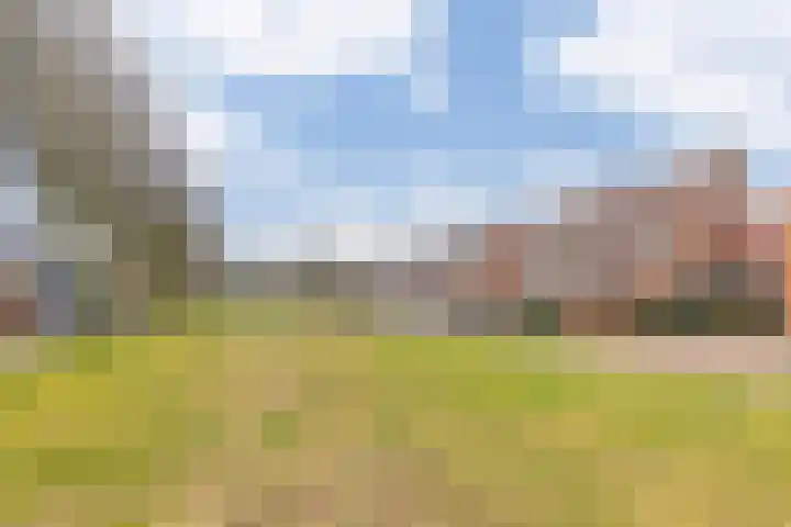 Dreef 12 Beverwijk thumbnail 62