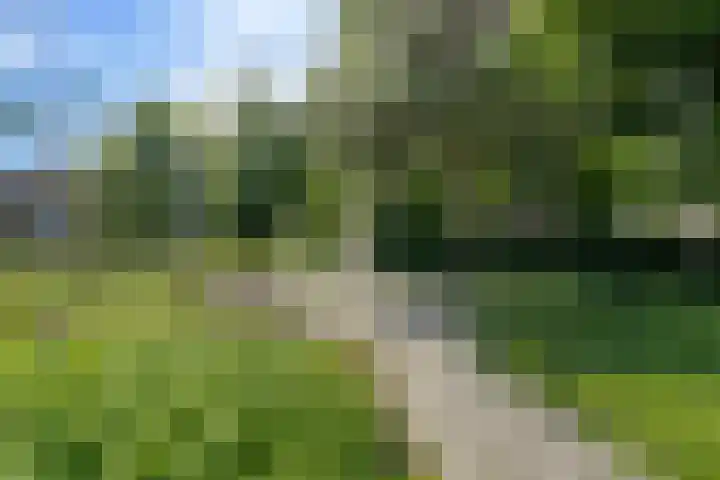Dreef 12 Beverwijk thumbnail 64