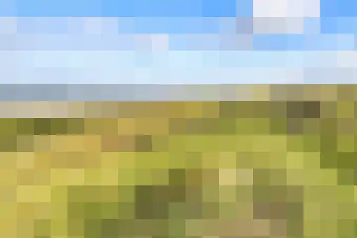 Dreef 12 Beverwijk thumbnail 65
