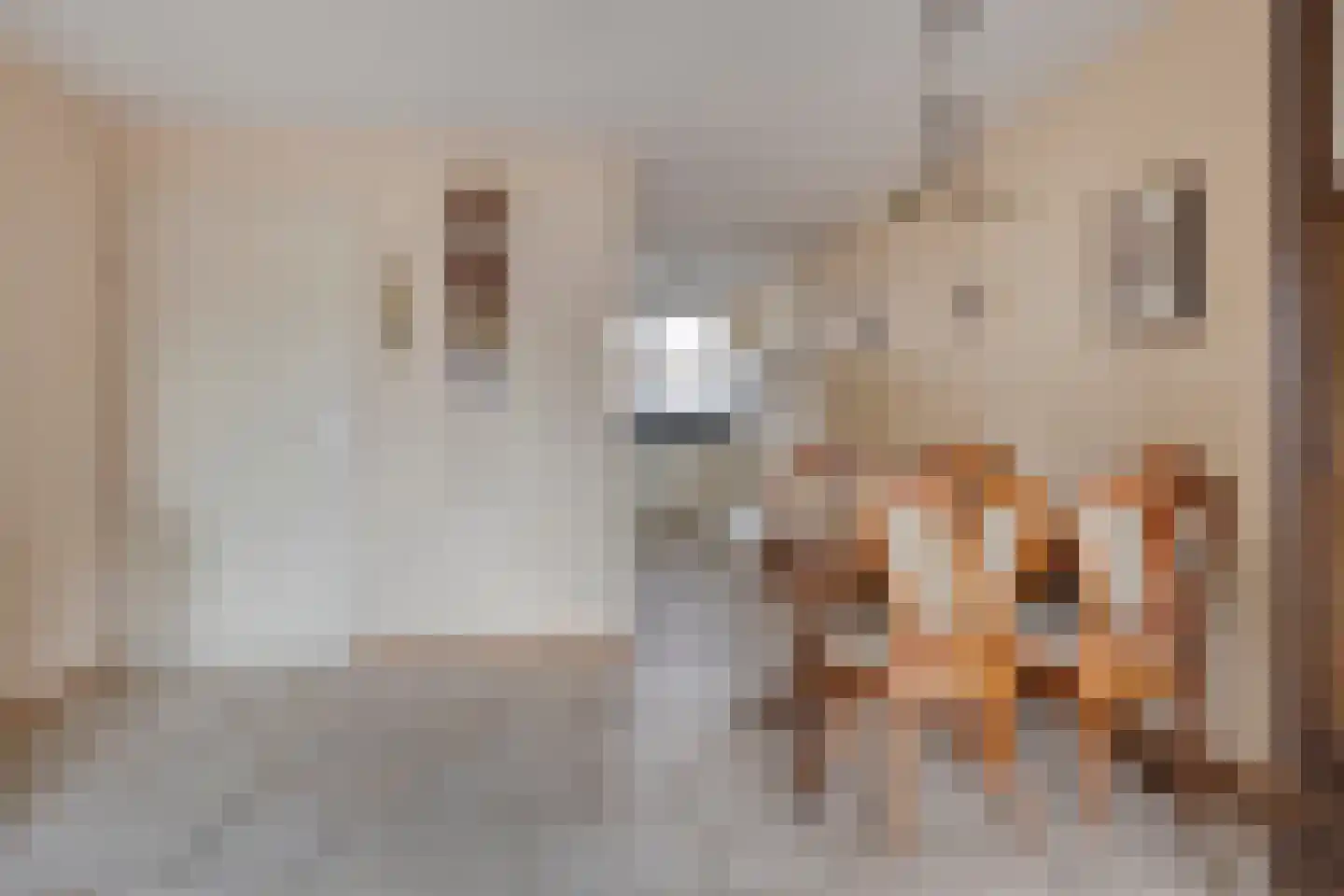 Dreef 12 Etten-Leur thumbnail 18
