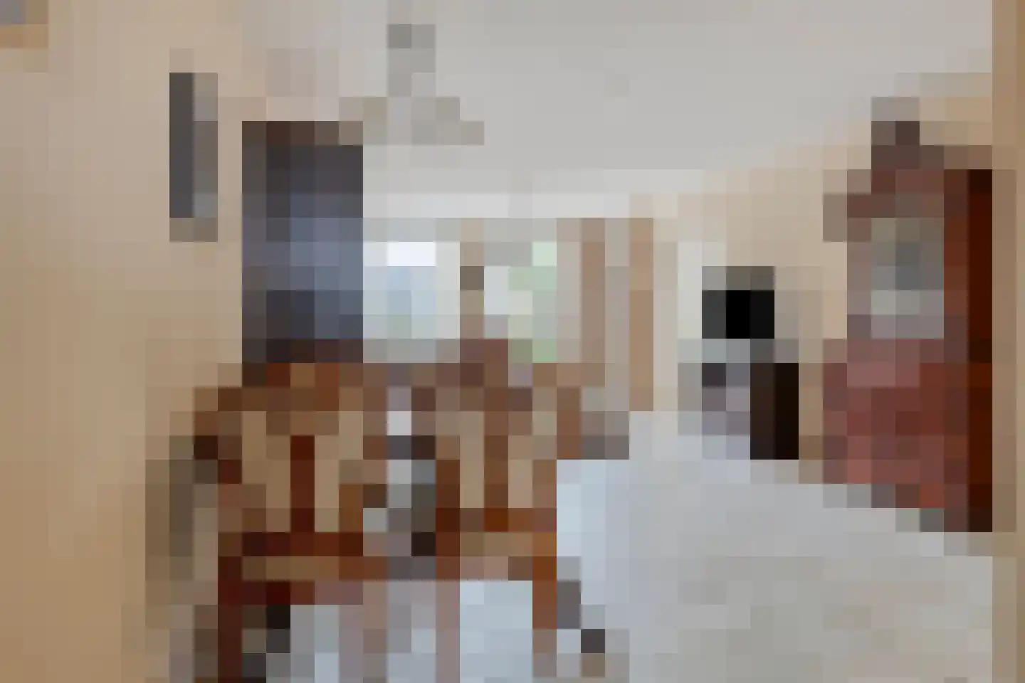 Dreef 12 Etten-Leur thumbnail 20