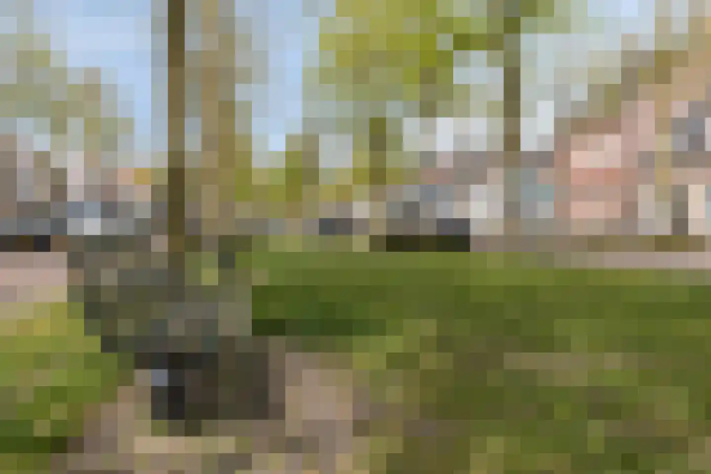 Dreef 12 Etten-Leur thumbnail 36