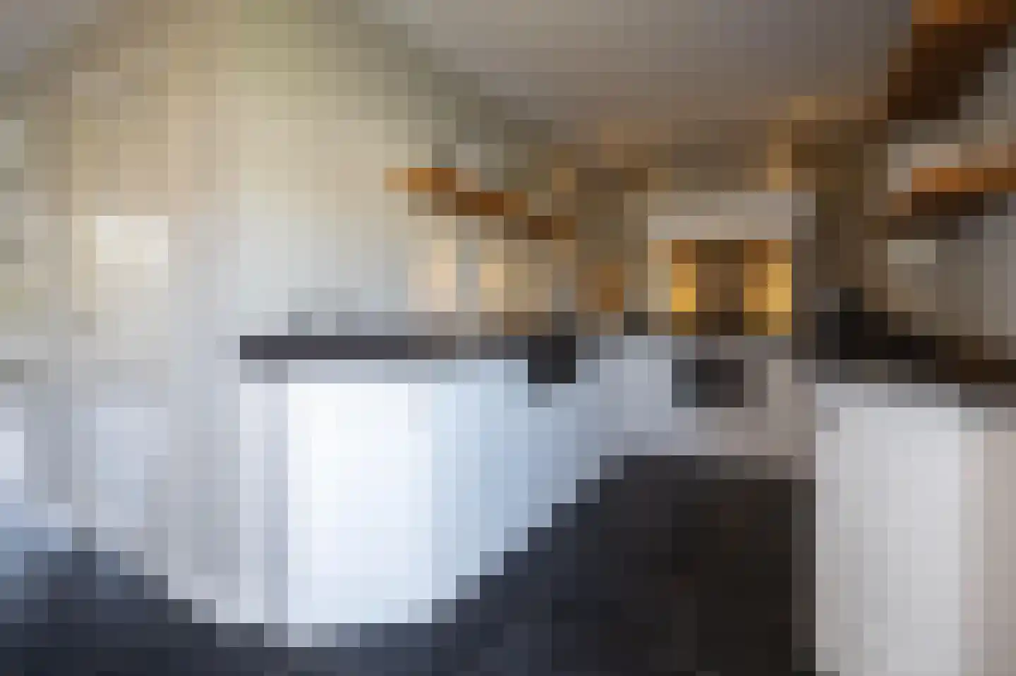 Dreef 12 Nibbixwoud thumbnail 13