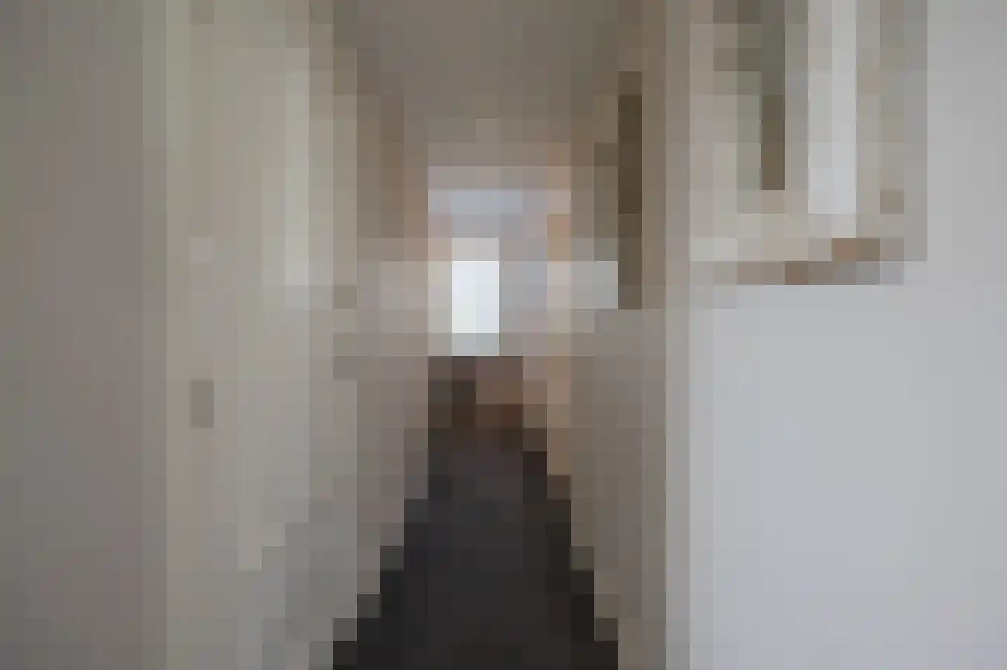 Dreef 12 Nibbixwoud thumbnail 42