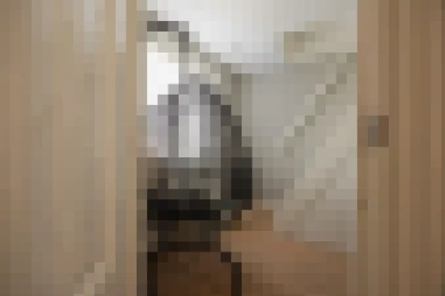Dreef 12 Nibbixwoud thumbnail 43