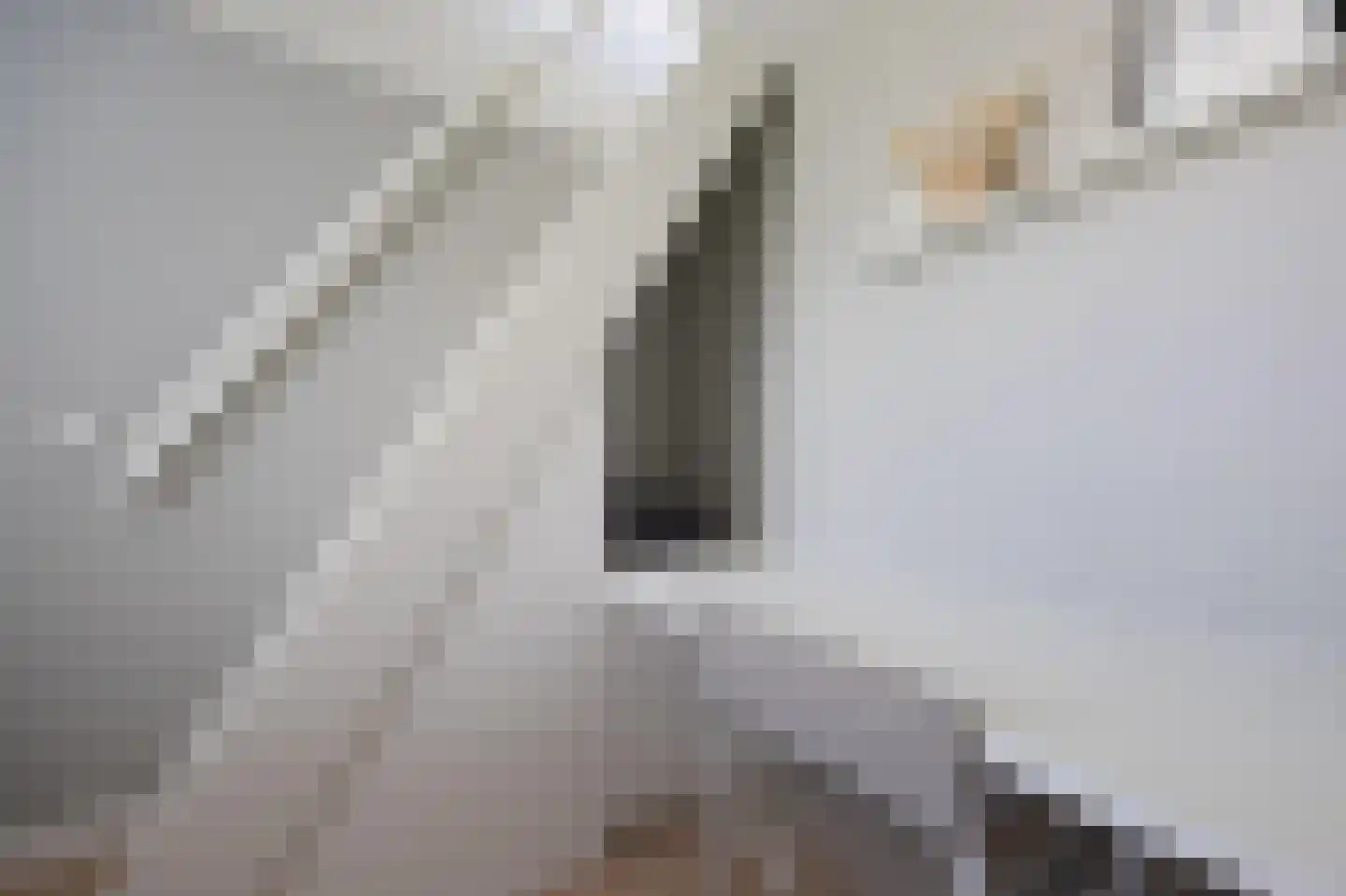 Dreef 12 Nibbixwoud thumbnail 44
