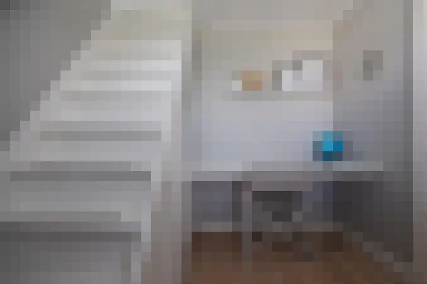 Dreef 12 Nibbixwoud thumbnail 45