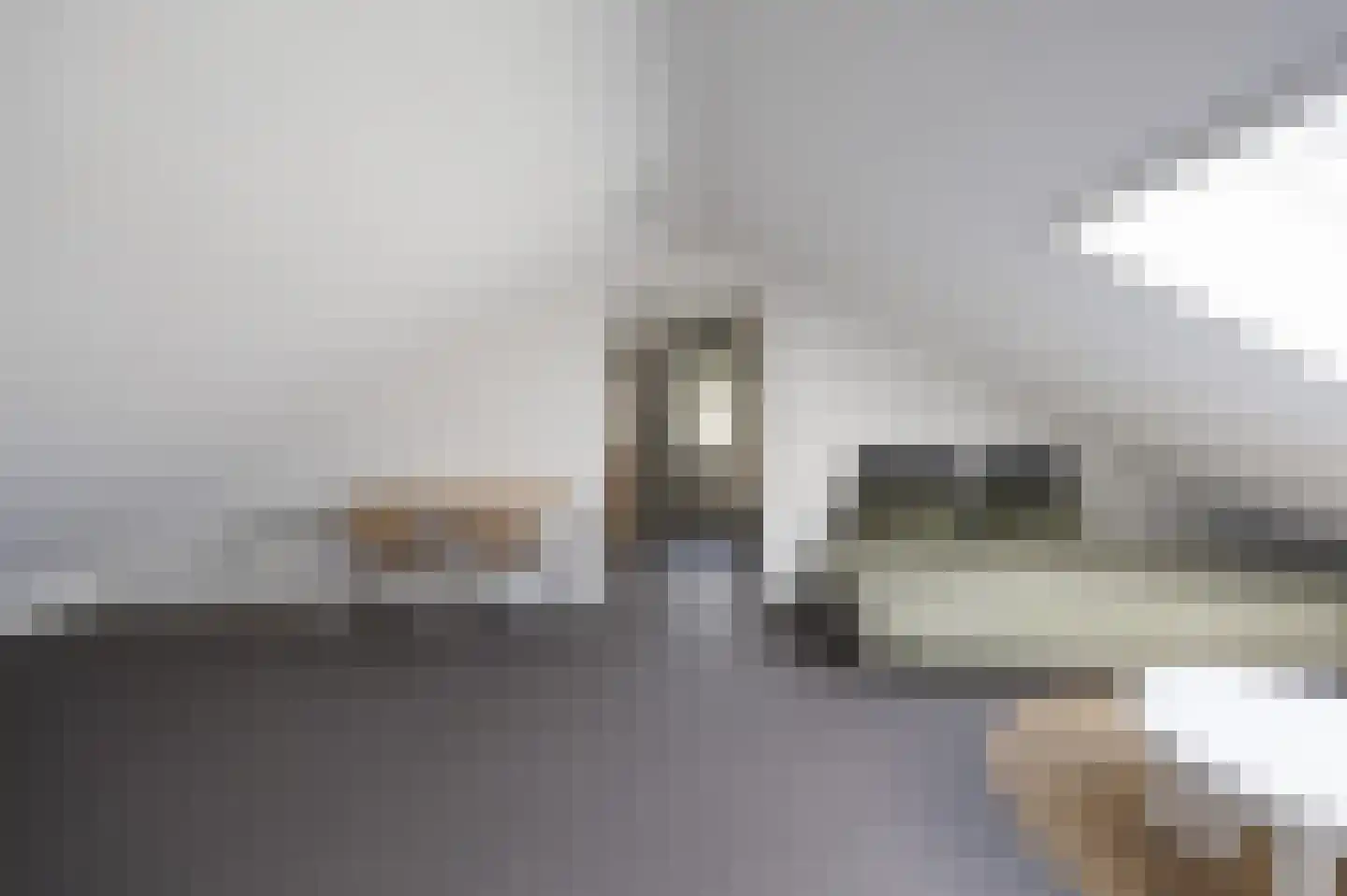Dreef 12 Nibbixwoud thumbnail 46