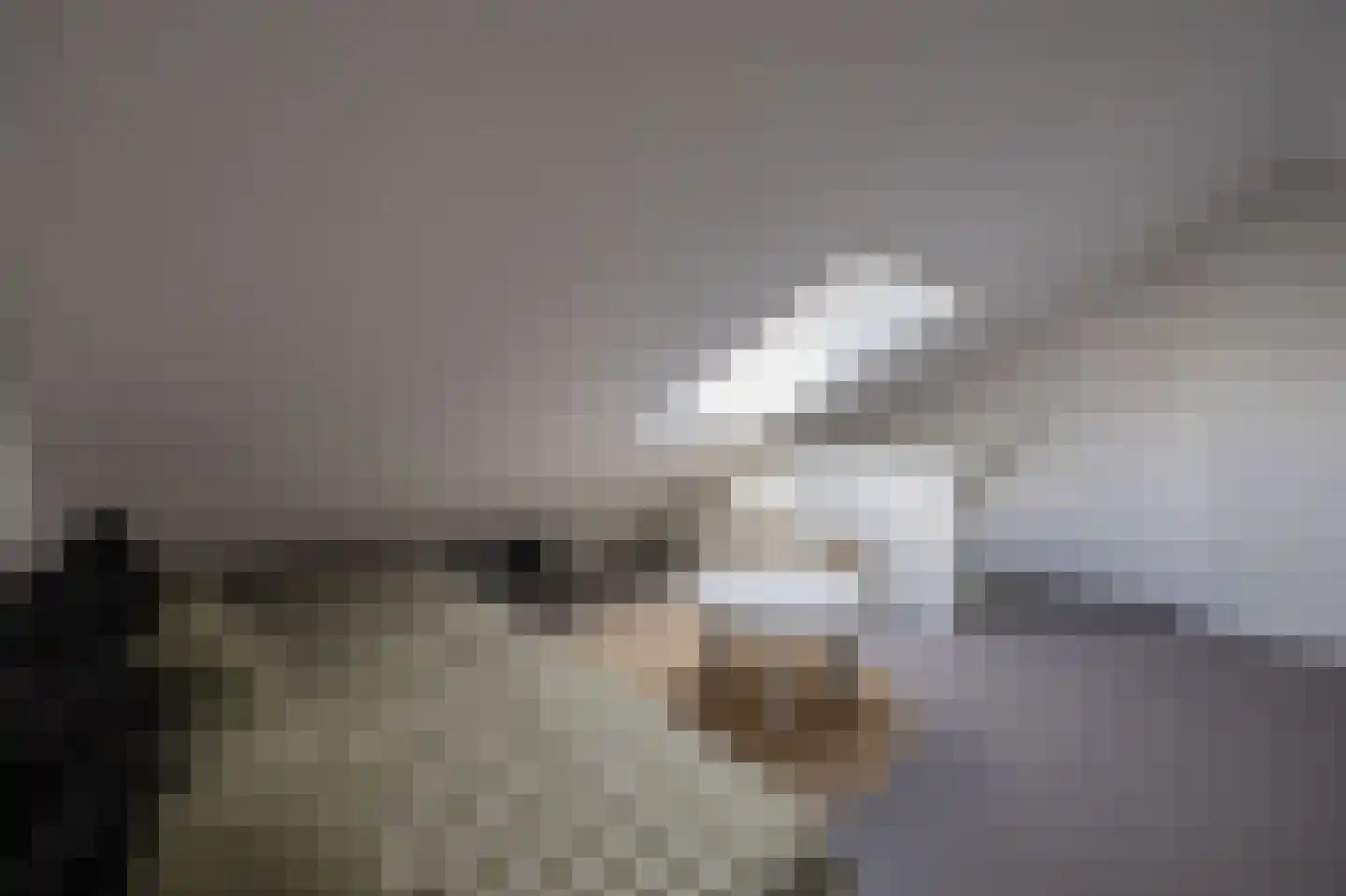 Dreef 12 Nibbixwoud thumbnail 48