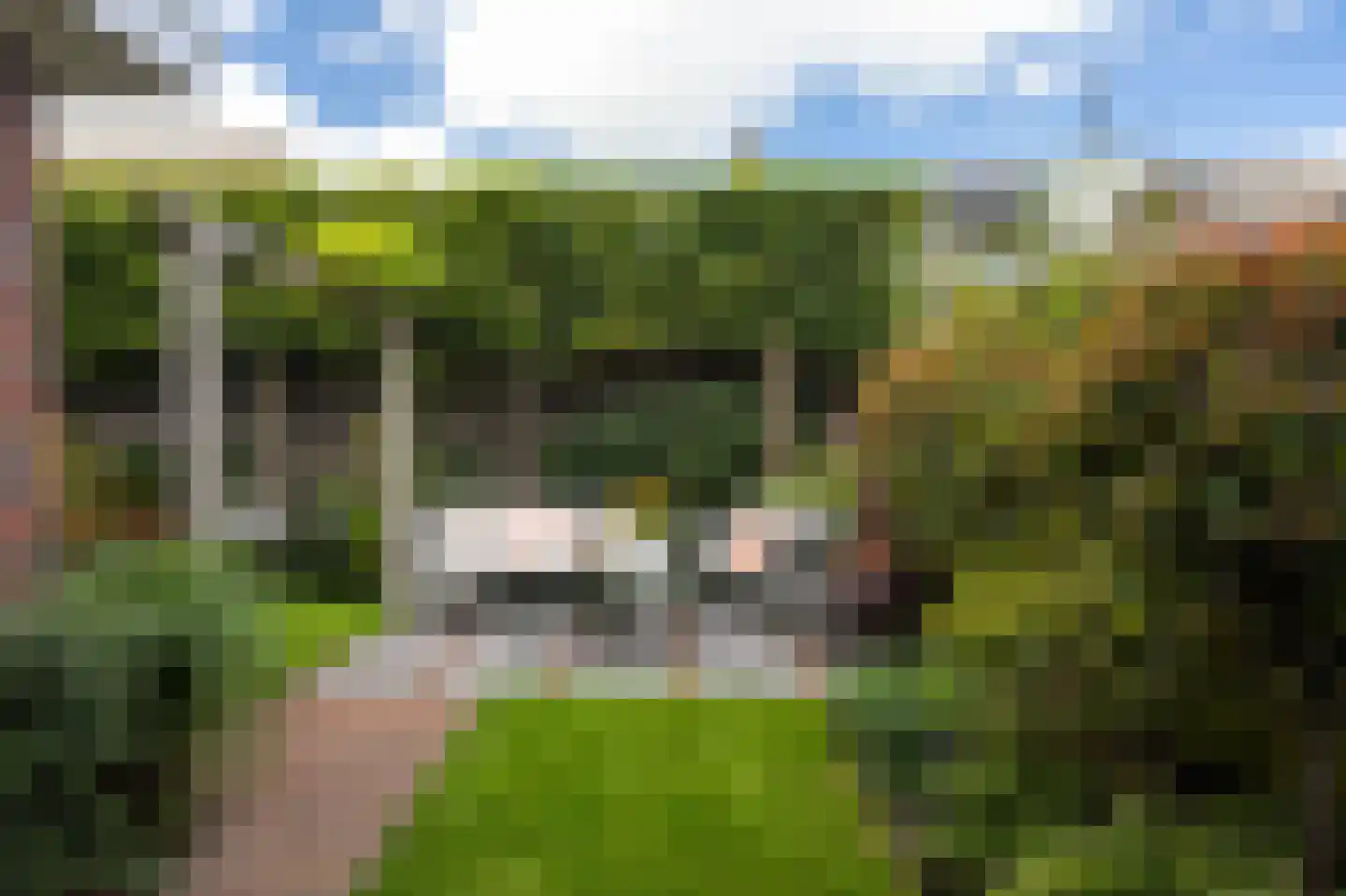 Dreef 12 Nibbixwoud thumbnail 50