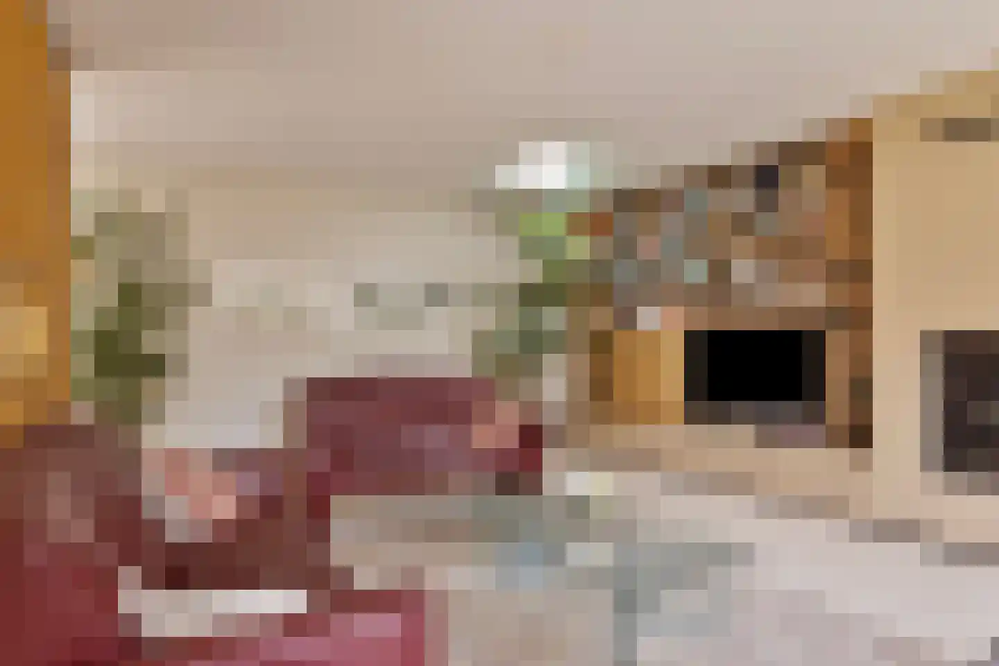 Dreef 13 Eersel thumbnail 11