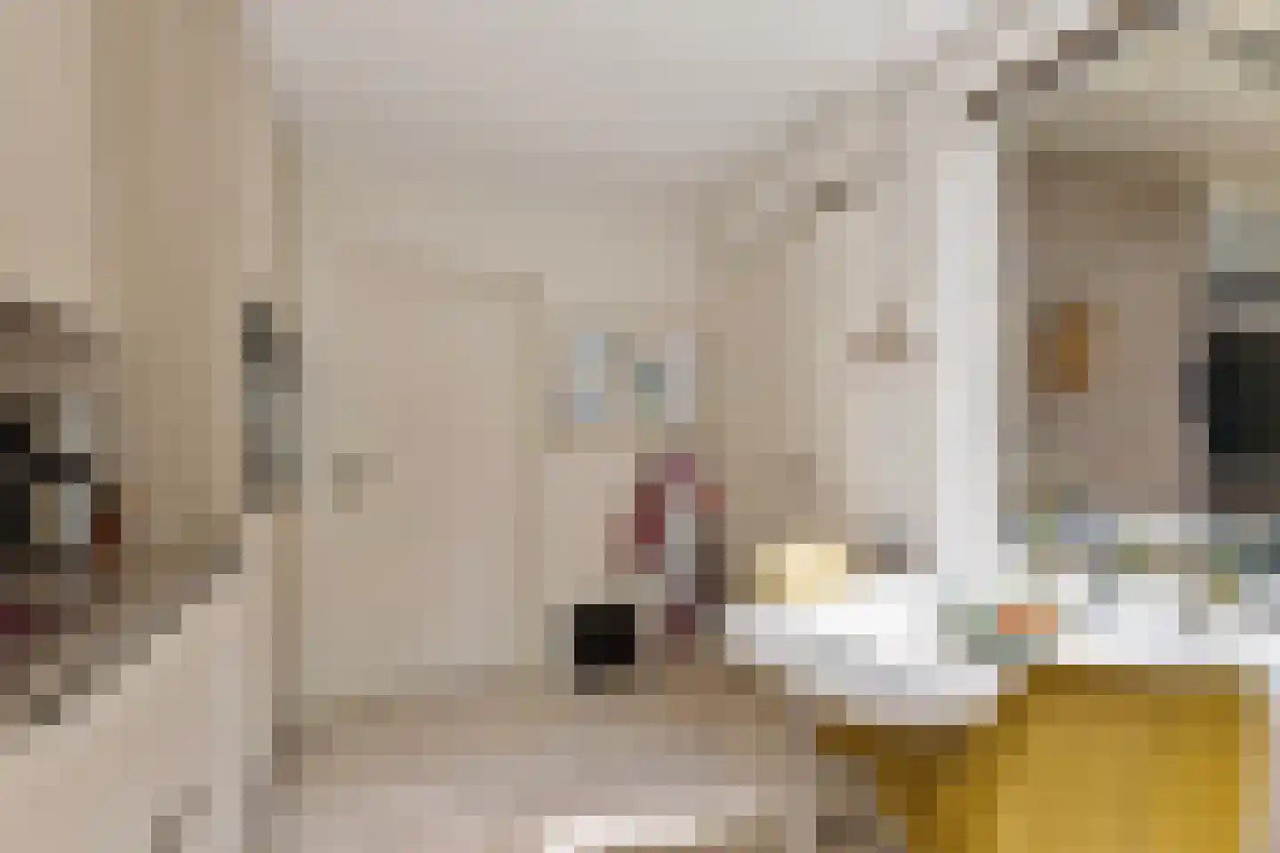 Dreef 13 Eersel thumbnail 14