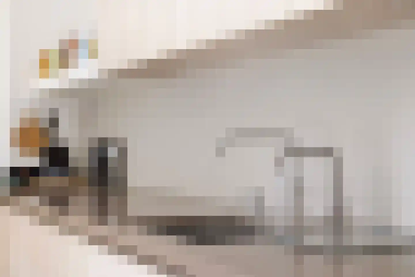 Dreef 13 Eersel thumbnail 16