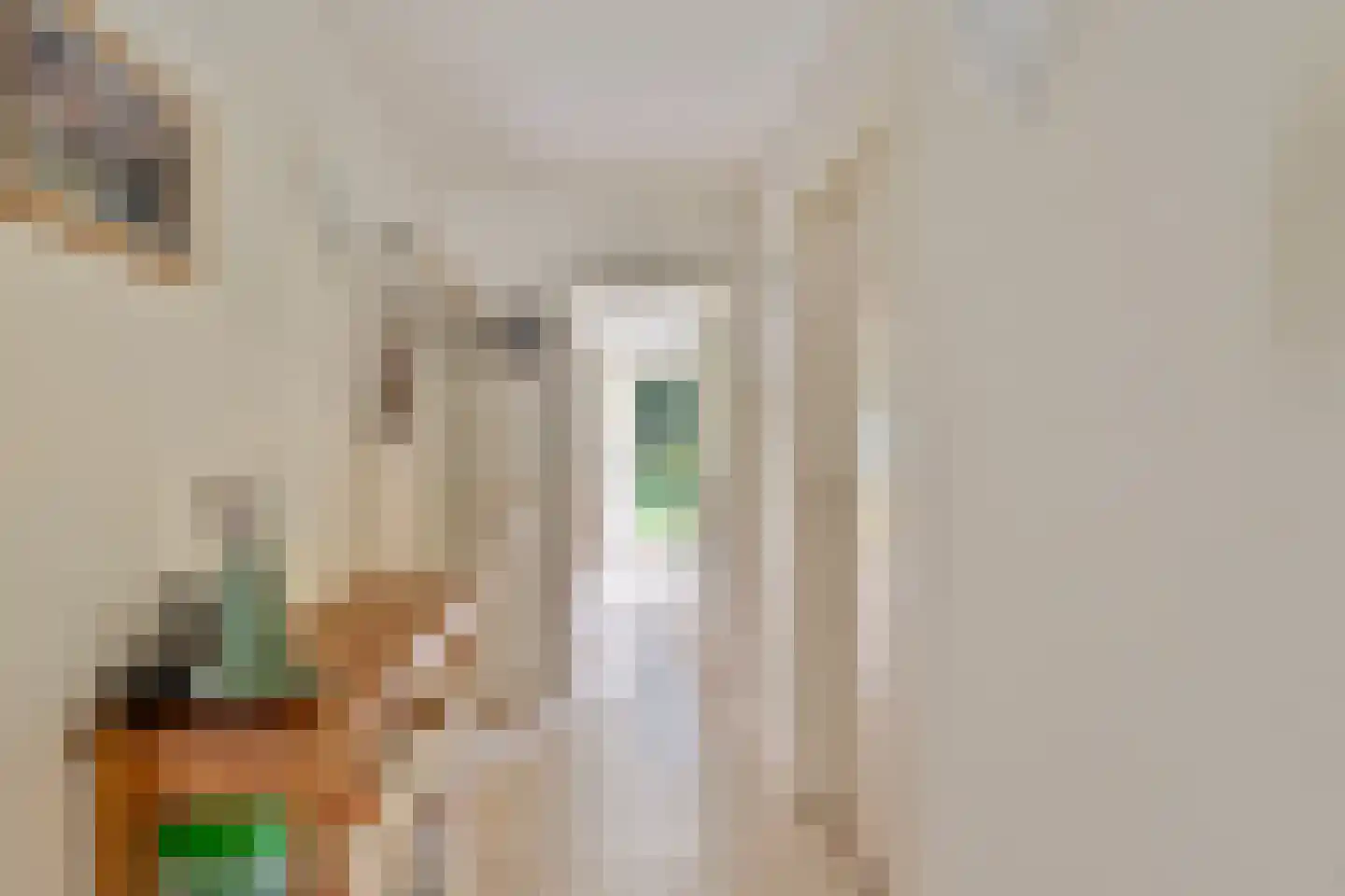 Dreef 13 Eersel thumbnail 18