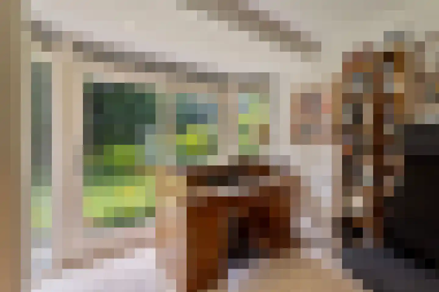 Dreef 13 Eersel thumbnail 19