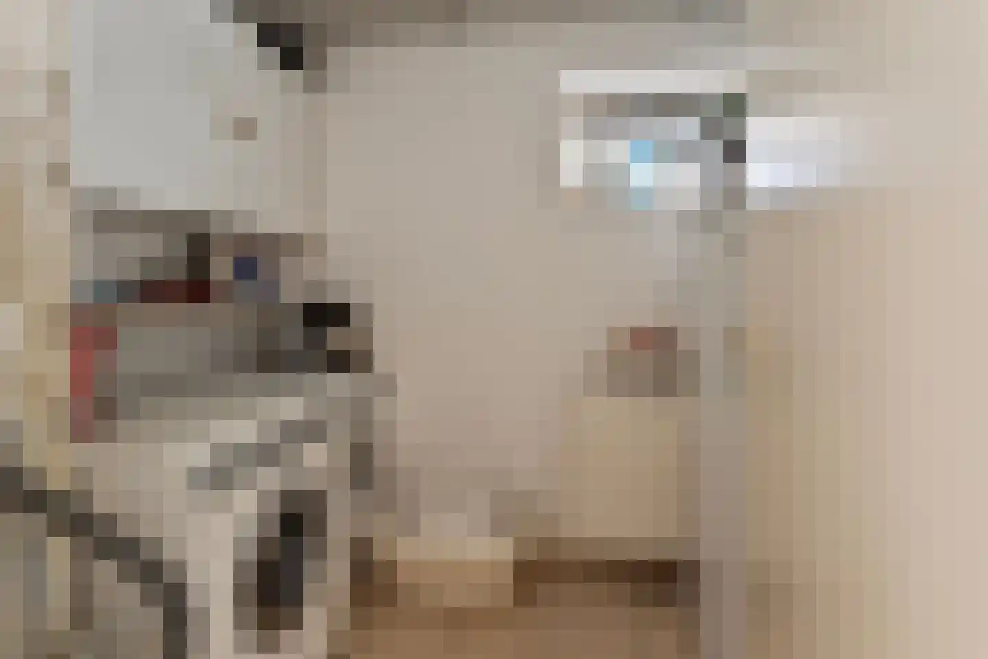 Dreef 13 Eersel thumbnail 20