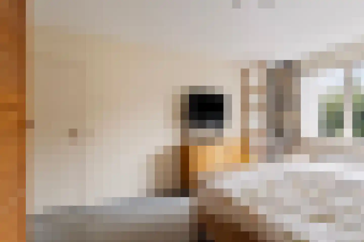 Dreef 13 Eersel thumbnail 25