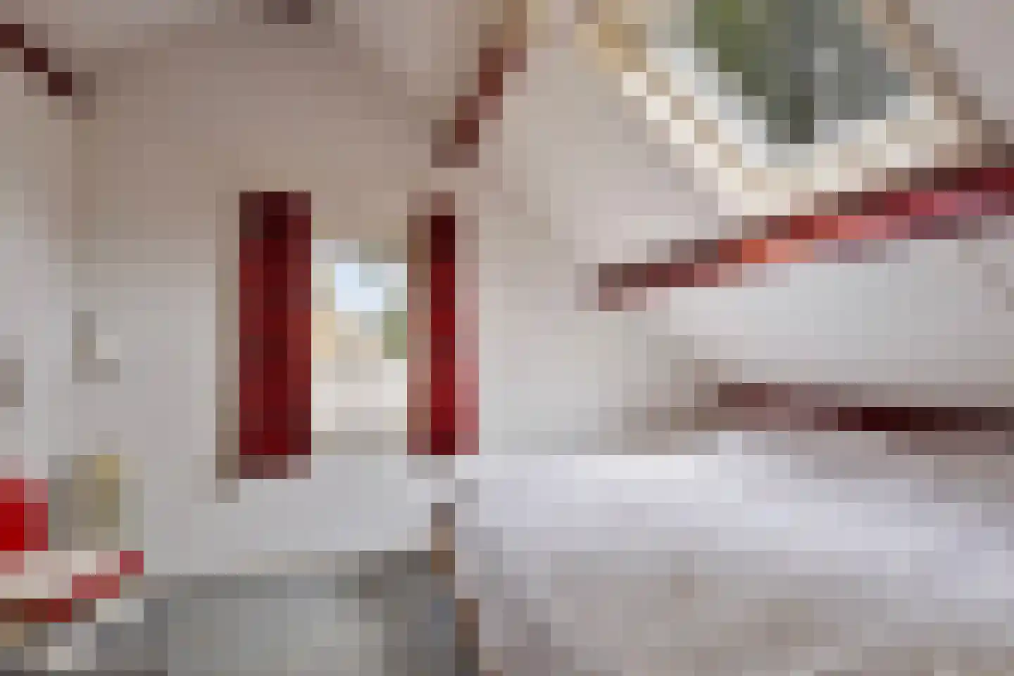 Dreef 13 Eersel thumbnail 32