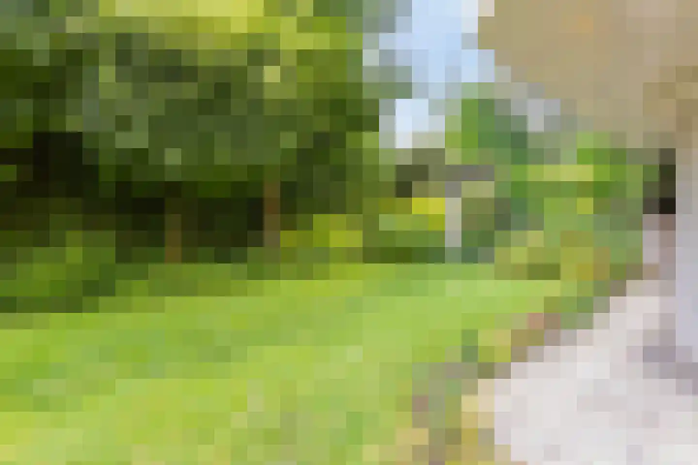 Dreef 13 Eersel thumbnail 38