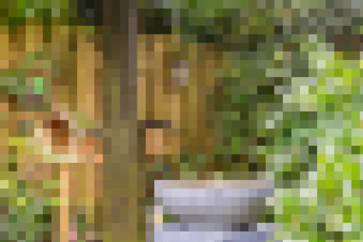 Dreef 13 Eersel thumbnail 39