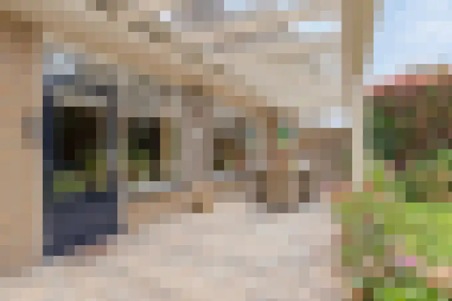 Dreef 13 Eersel thumbnail 41