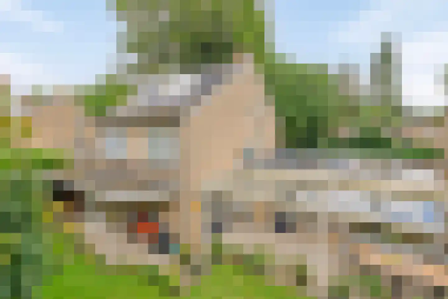 Dreef 13 Eersel thumbnail 42