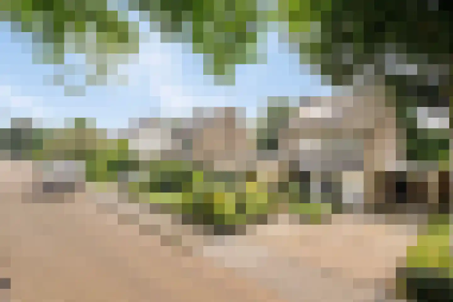 Dreef 13 Eersel thumbnail 43
