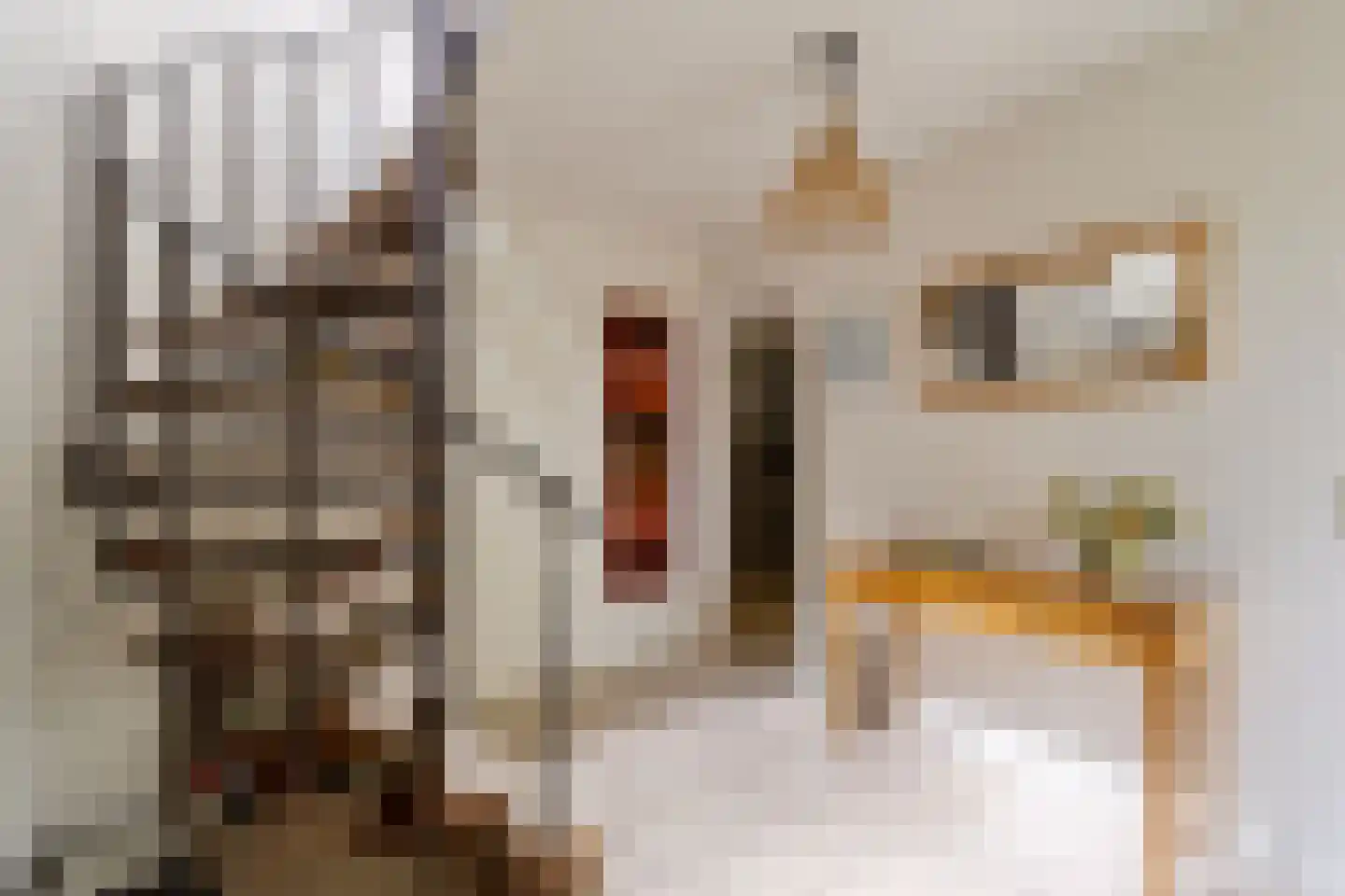 Dreef 13 Eersel thumbnail 6