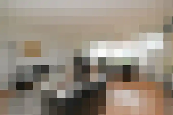 Dreef 136 Gouda thumbnail 12