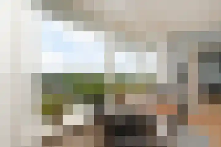 Dreef 136 Gouda thumbnail 14