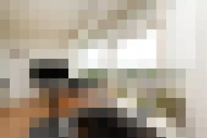 Dreef 136 Gouda thumbnail 17