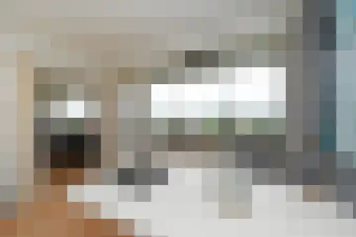 Dreef 136 Gouda thumbnail 19