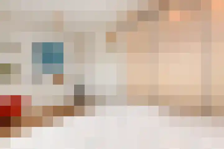 Dreef 136 Gouda thumbnail 30