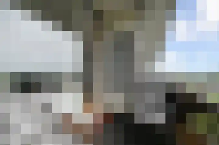 Dreef 136 Gouda thumbnail 32