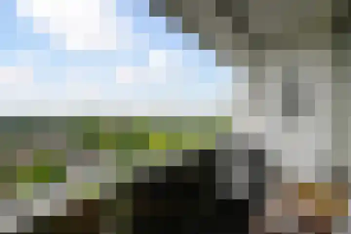 Dreef 136 Gouda thumbnail 33