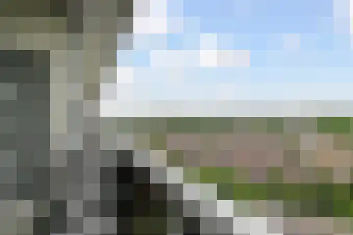 Dreef 136 Gouda thumbnail 34