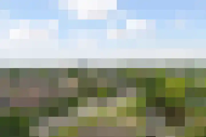 Dreef 136 Gouda thumbnail 35