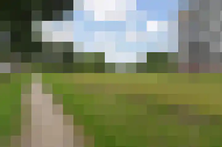 Dreef 136 Gouda thumbnail 37