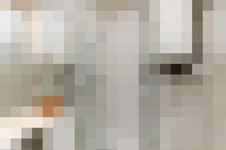 Dreef 136 Gouda thumbnail 4
