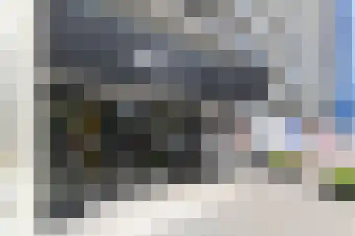 Dreef 136 Gouda thumbnail 5