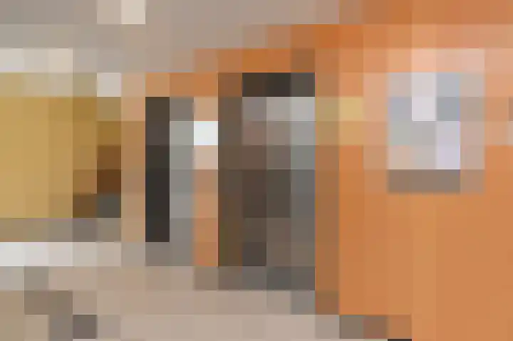Dreef 136 Gouda thumbnail 7