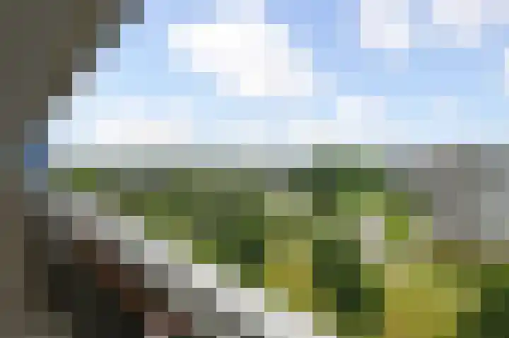 Dreef 136 Gouda thumbnail 9