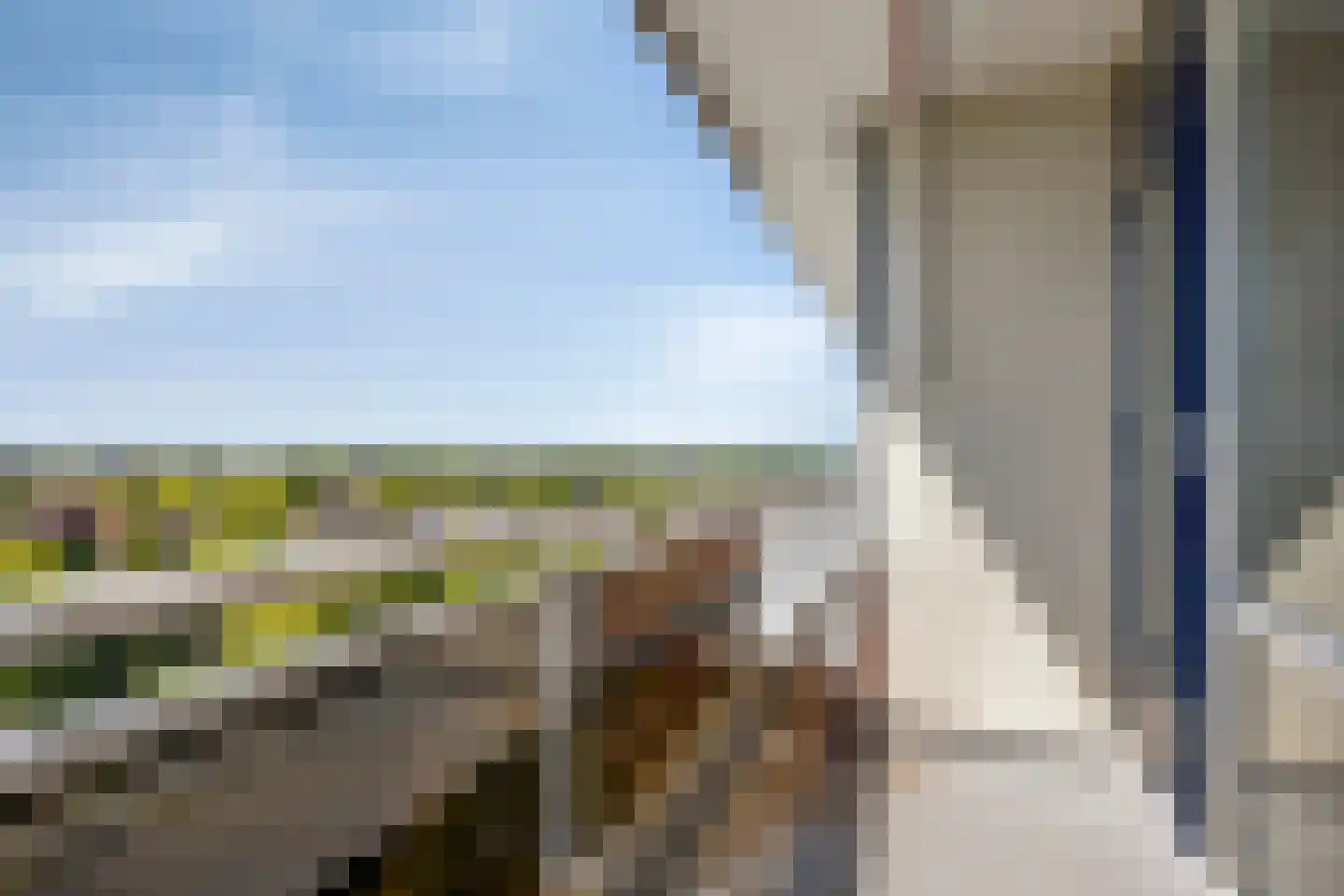 Dreef 138 Gouda thumbnail 10