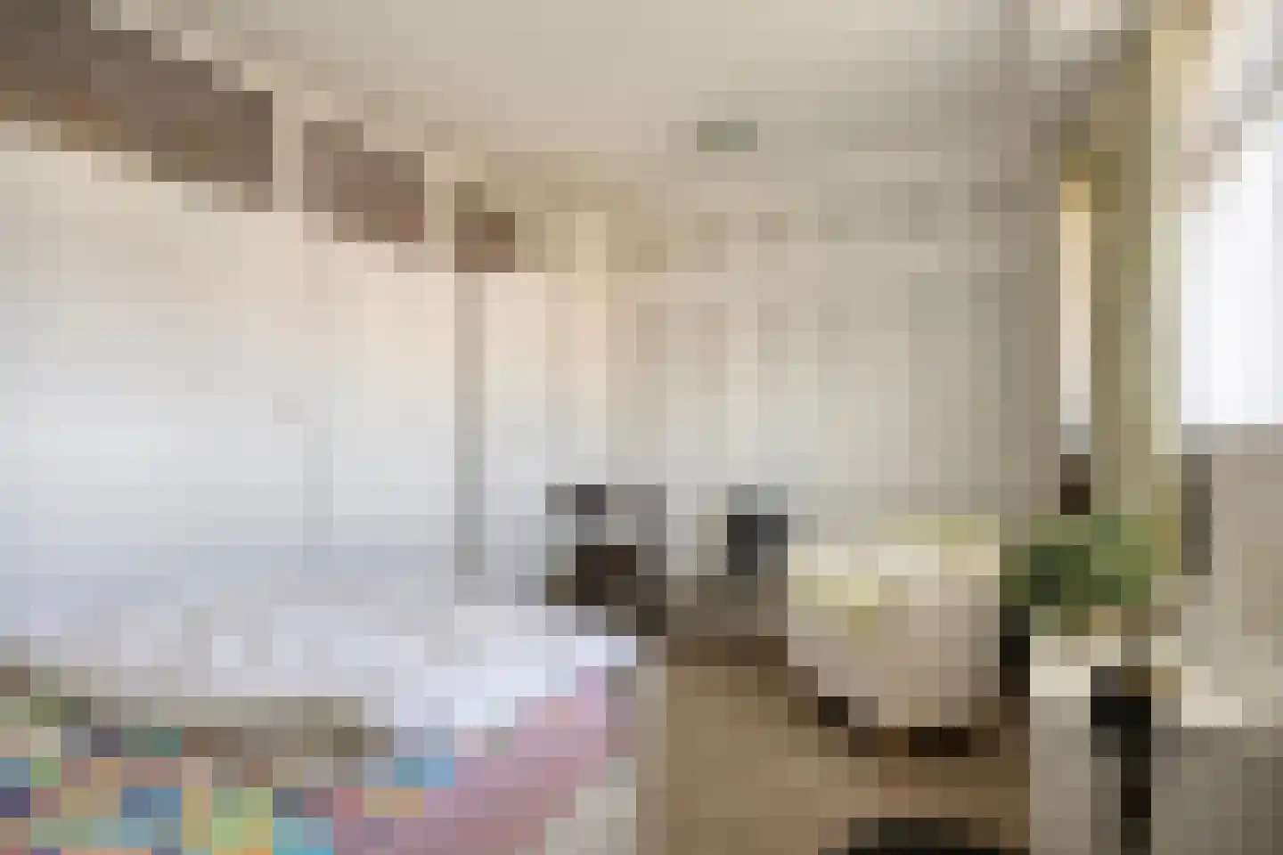 Dreef 138 Gouda thumbnail 11