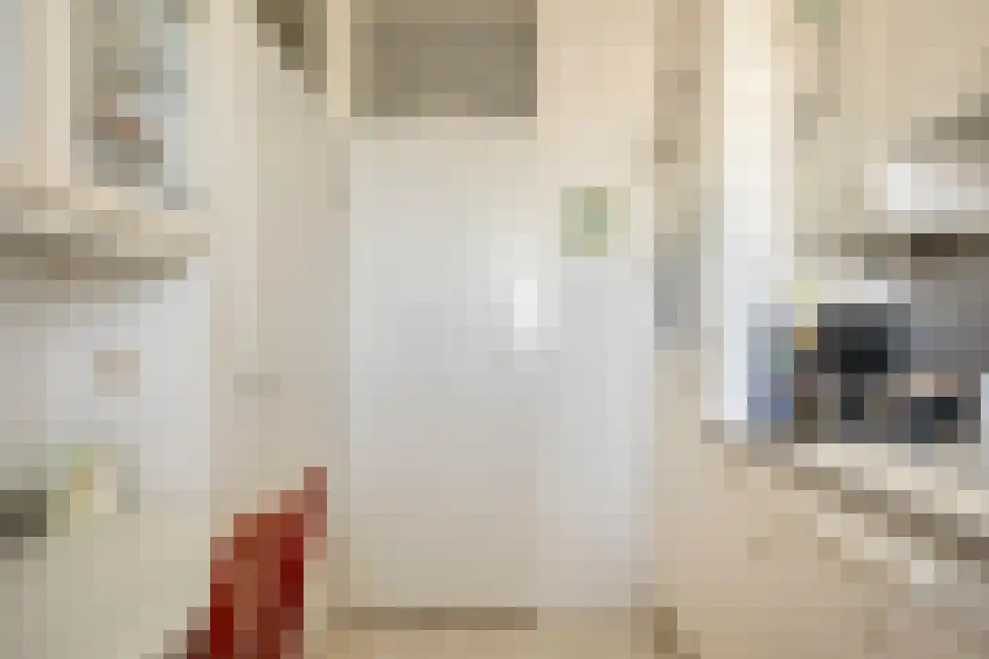 Dreef 138 Gouda thumbnail 16