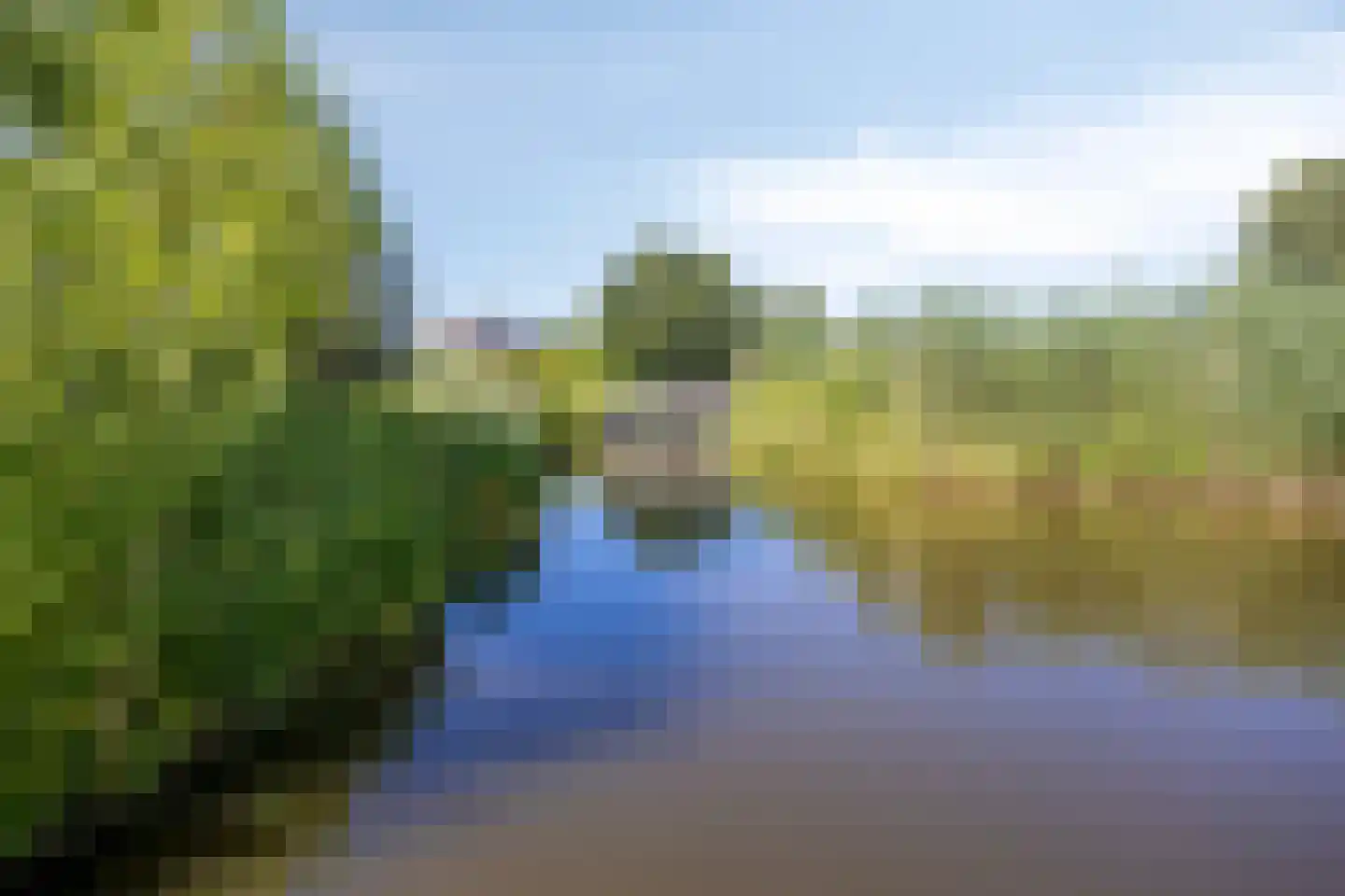 Dreef 138 Gouda thumbnail 26