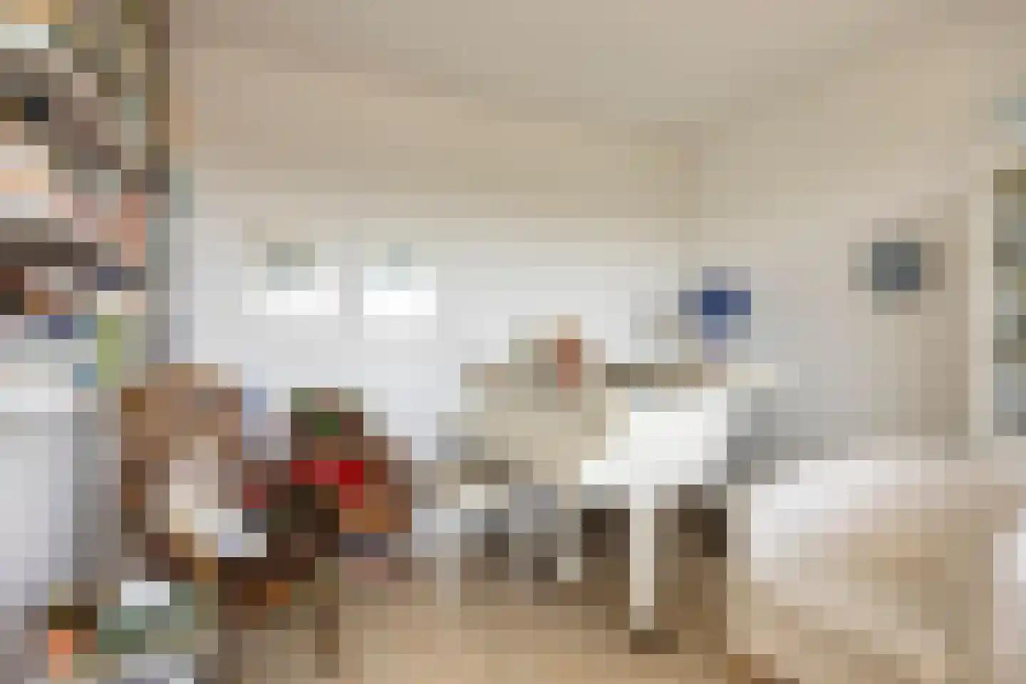 Dreef 138 Gouda thumbnail 6